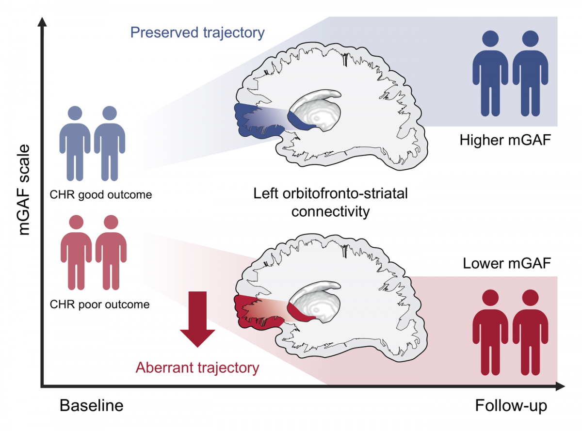 Corticostriatal structural connectivity trajectories in clinical high risk by functional outcome